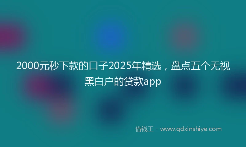 2000元秒下款的口子2025年精选，盘点五个无视黑白户的贷款app