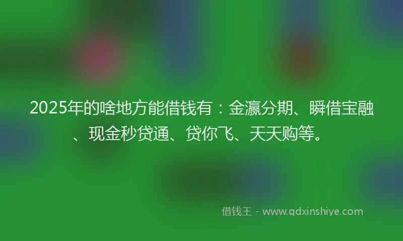2025年的啥地方能借钱有：金瀛分期、瞬借宝融、现金秒贷通、贷你飞、天天购等。