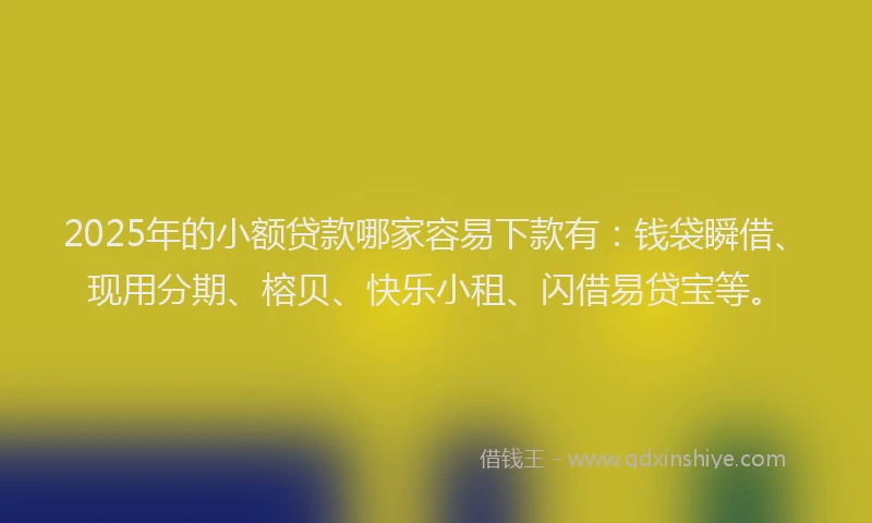 2025年的小额贷款哪家容易下款有：钱袋瞬借、现用分期、榕贝、快乐小租、闪借易贷宝等。