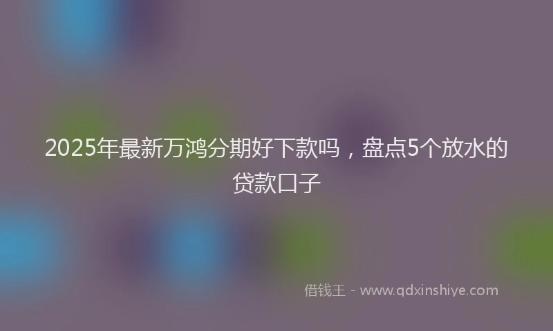 2025年最新万鸿分期好下款吗，盘点5个放水的贷款口子