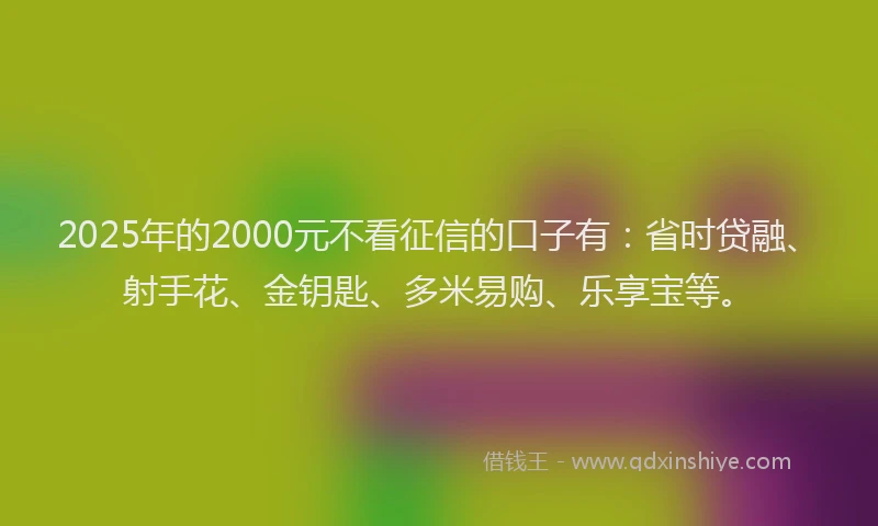 2025年的2000元不看征信的口子有：省时贷融、射手花、金钥匙、多米易购、乐享宝等。