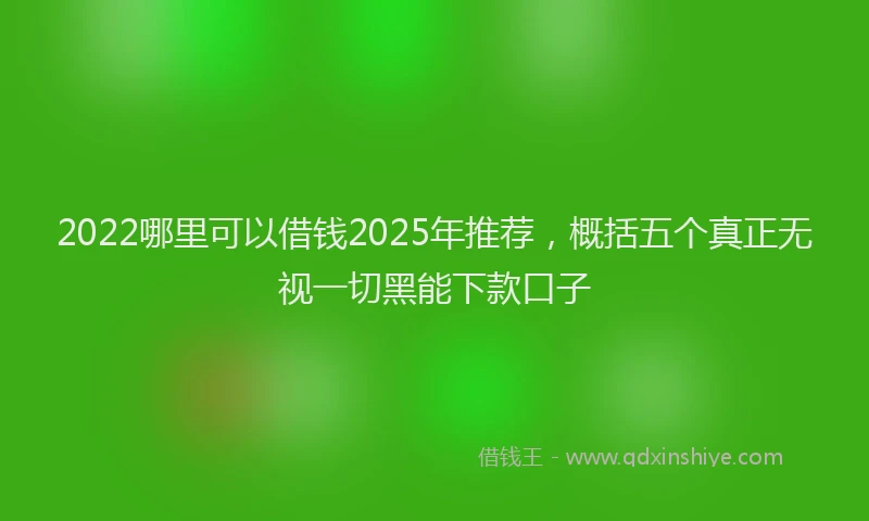 2022哪里可以借钱2025年推荐，概括五个真正无视一切黑能下款口子