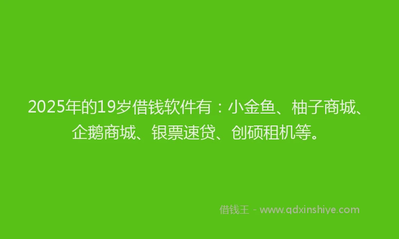 2025年的19岁借钱软件有：小金鱼、柚子商城、企鹅商城、银票速贷、创硕租机等。