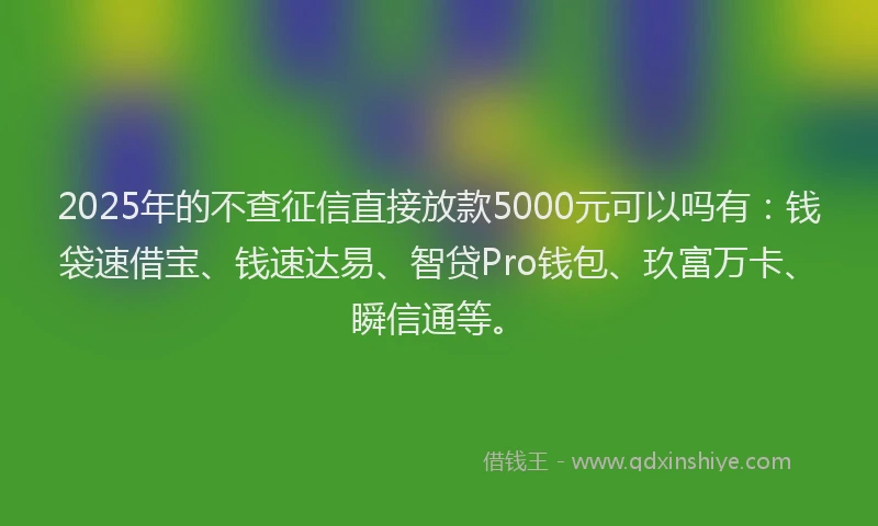2025年的不查征信直接放款5000元可以吗有：钱袋速借宝、钱速达易、智贷Pro钱包、玖富万卡、瞬信通等。