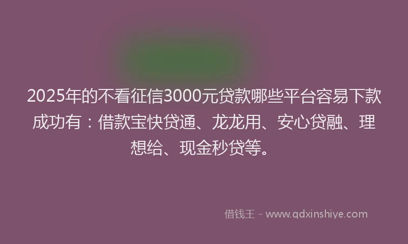 2025年的不看征信3000元贷款哪些平台容易下款成功有：借款宝快贷通、龙龙用、安心贷融、理想给、现金秒贷等。