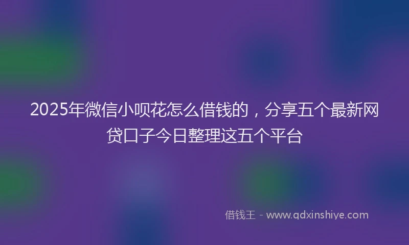 2025年微信小呗花怎么借钱的，分享五个最新网贷口子今日整理这五个平台