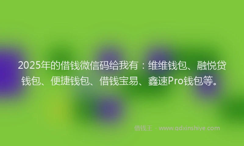 2025年的借钱微信码给我有：维维钱包、融悦贷钱包、便捷钱包、借钱宝易、鑫速Pro钱包等。