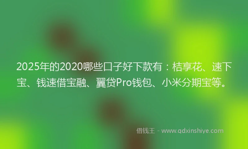 2025年的2020哪些口子好下款有：桔享花、速下宝、钱速借宝融、翼贷Pro钱包、小米分期宝等。