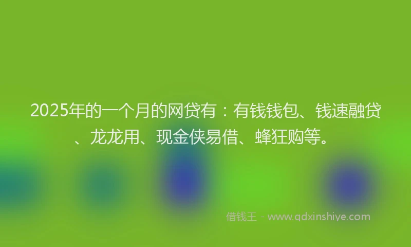 2025年的一个月的网贷有：有钱钱包、钱速融贷、龙龙用、现金侠易借、蜂狂购等。