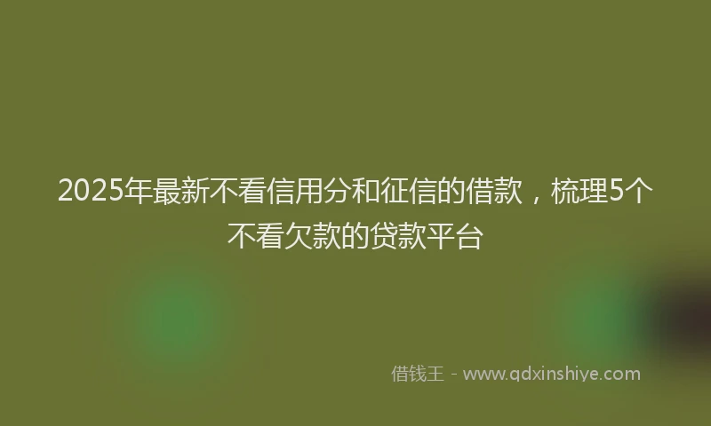 2025年最新不看信用分和征信的借款，梳理5个不看欠款的贷款平台