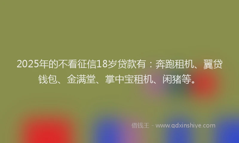2025年的不看征信18岁贷款有：奔跑租机、翼贷钱包、金满堂、掌中宝租机、闲猪等。