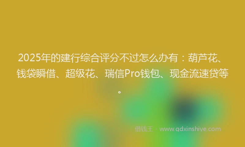 2025年的建行综合评分不过怎么办有：葫芦花、钱袋瞬借、超级花、瑞信Pro钱包、现金流速贷等。