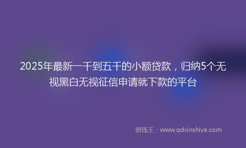 2025年最新一千到五千的小额贷款，归纳5个无视黑白无视征信申请就下款的平台