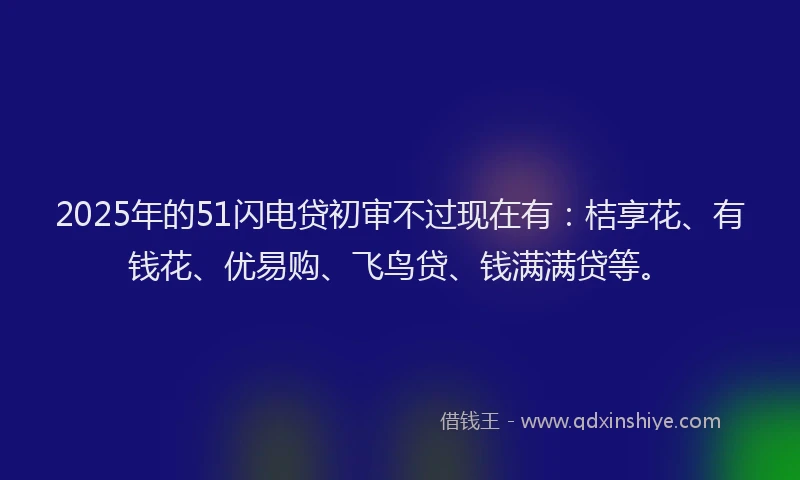 2025年的51闪电贷初审不过现在有：桔享花、有钱花、优易购、飞鸟贷、钱满满贷等。