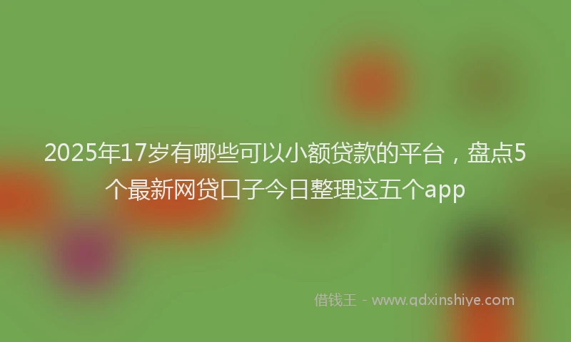 2025年17岁有哪些可以小额贷款的平台，盘点5个最新网贷口子今日整理这五个app