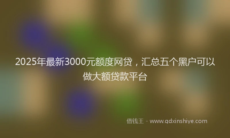 2025年最新3000元额度网贷，汇总五个黑户可以做大额贷款平台