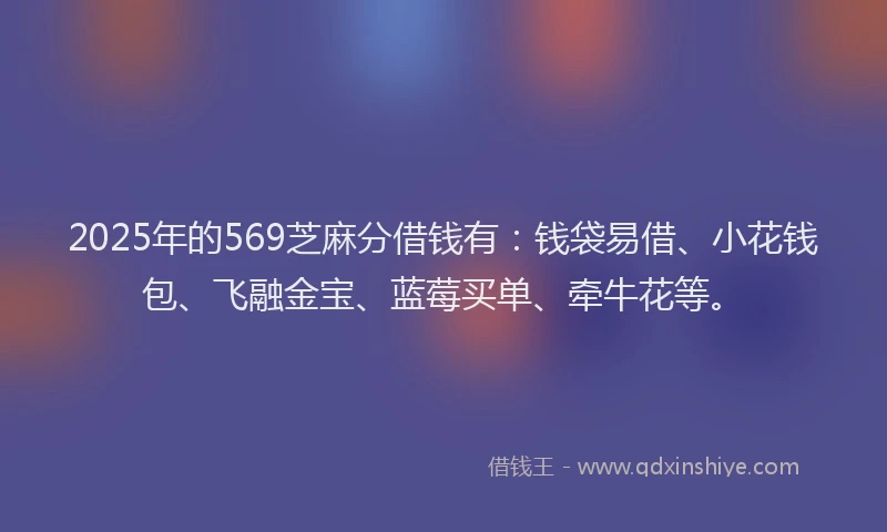 2025年的569芝麻分借钱有：钱袋易借、小花钱包、飞融金宝、蓝莓买单、牵牛花等。