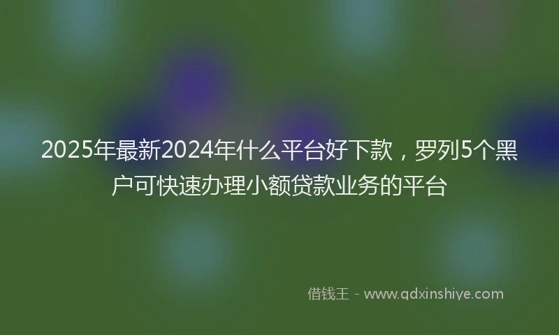 2025年最新2024年什么平台好下款，罗列5个黑户可快速办理小额贷款业务的平台