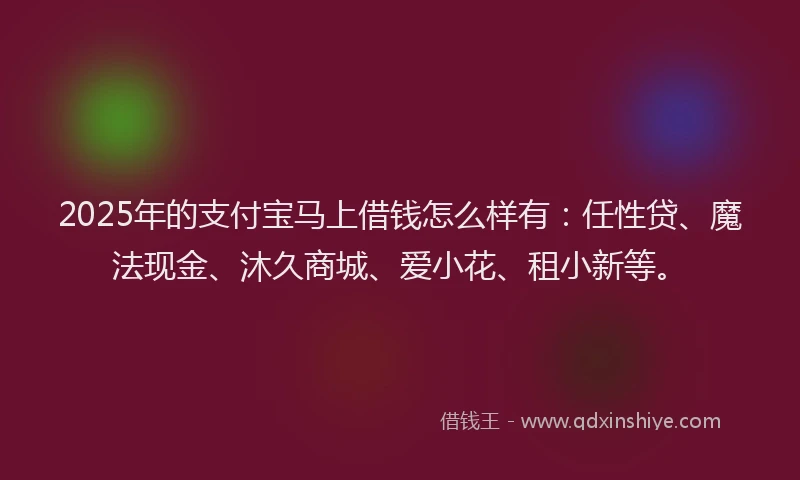 2025年的支付宝马上借钱怎么样有：任性贷、魔法现金、沐久商城、爱小花、租小新等。