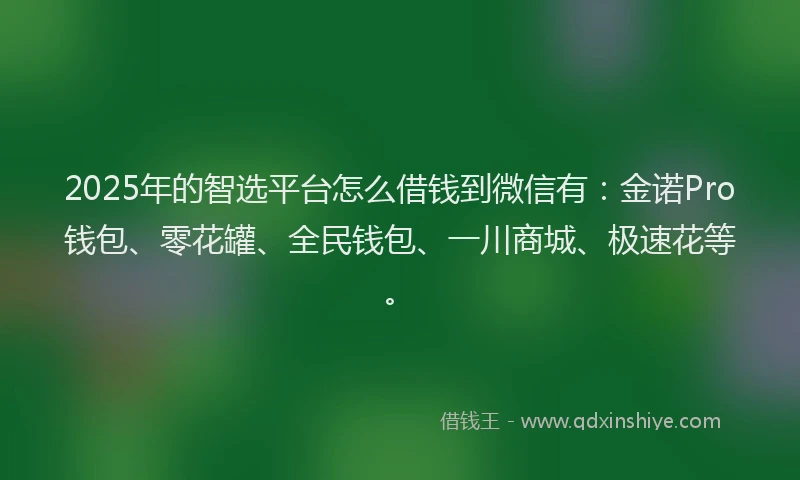 2025年的智选平台怎么借钱到微信有：金诺Pro钱包、零花罐、全民钱包、一川商城、极速花等。