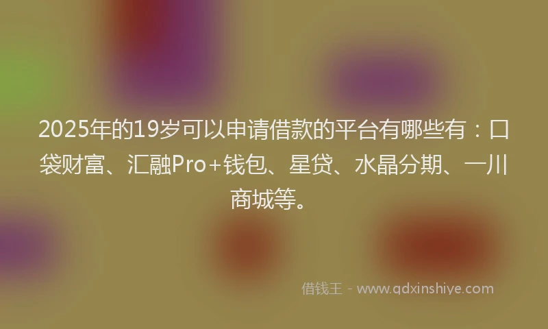 2025年的19岁可以申请借款的平台有哪些有：口袋财富、汇融Pro+钱包、星贷、水晶分期、一川商城等。