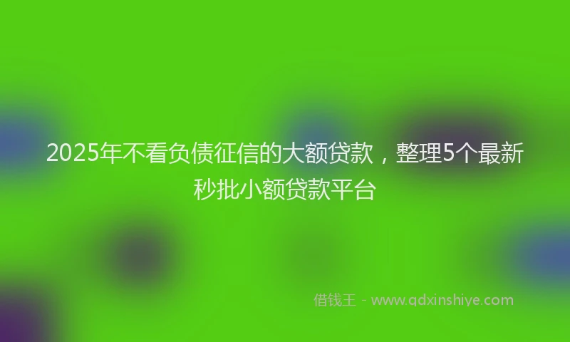2025年不看负债征信的大额贷款，整理5个最新秒批小额贷款平台