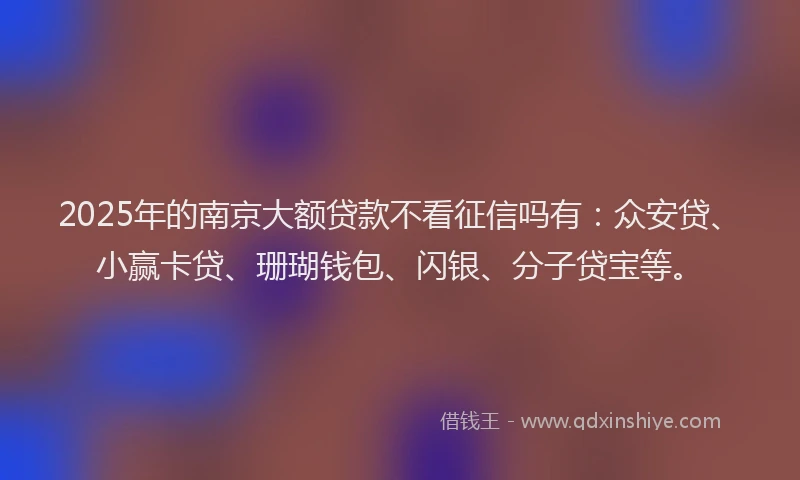 2025年的南京大额贷款不看征信吗有：众安贷、小赢卡贷、珊瑚钱包、闪银、分子贷宝等。