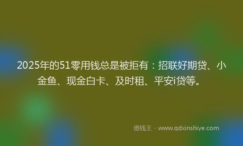 2025年的51零用钱总是被拒有：招联好期贷、小金鱼、现金白卡、及时租、平安i贷等。