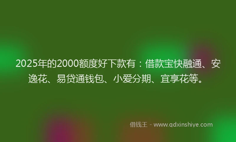 2025年的2000额度好下款有：借款宝快融通、安逸花、易贷通钱包、小爱分期、宜享花等。