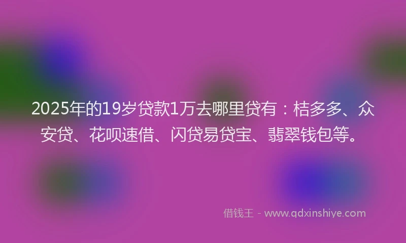 2025年的19岁贷款1万去哪里贷有：桔多多、众安贷、花呗速借、闪贷易贷宝、翡翠钱包等。