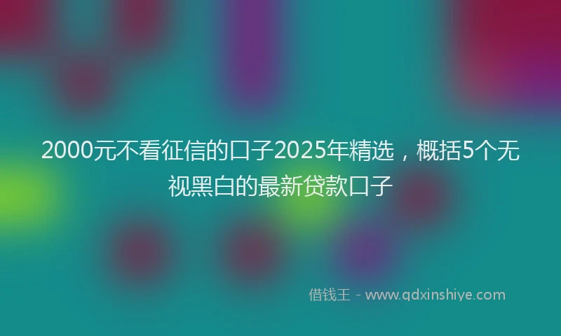 2000元不看征信的口子2025年精选，概括5个无视黑白的最新贷款口子