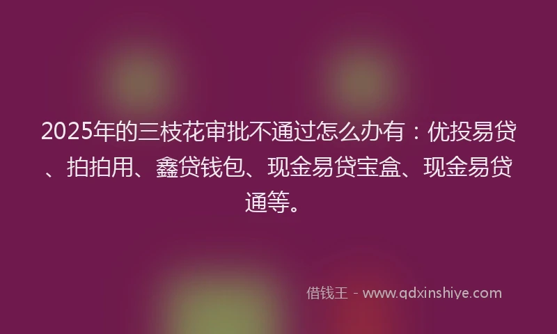 2025年的三枝花审批不通过怎么办有：优投易贷、拍拍用、鑫贷钱包、现金易贷宝盒、现金易贷通等。