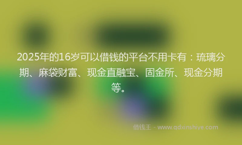 2025年的16岁可以借钱的平台不用卡有：琉璃分期、麻袋财富、现金直融宝、固金所、现金分期等。