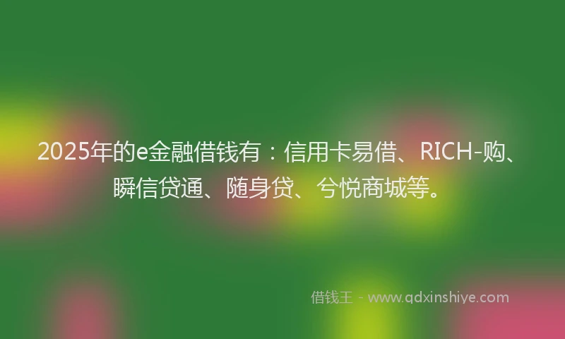 2025年的e金融借钱有：信用卡易借、RICH-购、瞬信贷通、随身贷、兮悦商城等。