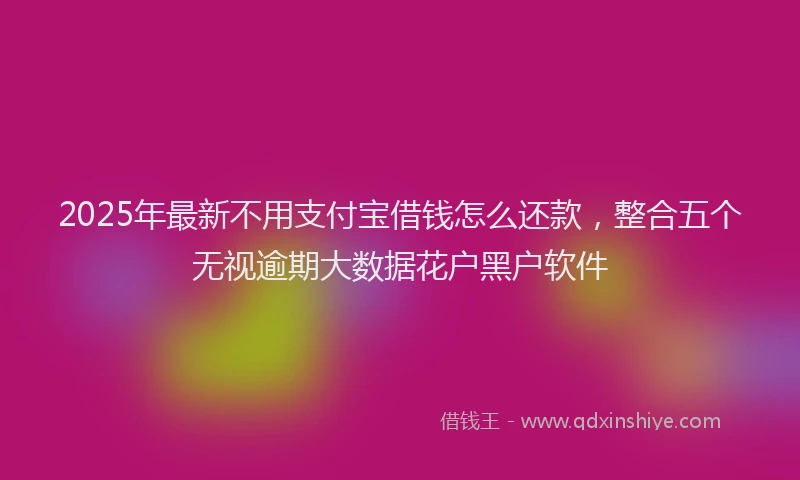 2025年最新不用支付宝借钱怎么还款，整合五个无视逾期大数据花户黑户软件