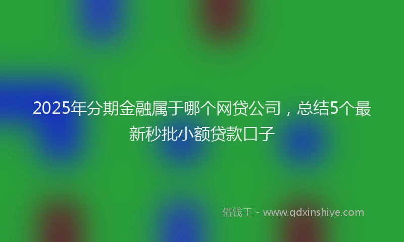 2025年分期金融属于哪个网贷公司，总结5个最新秒批小额贷款口子