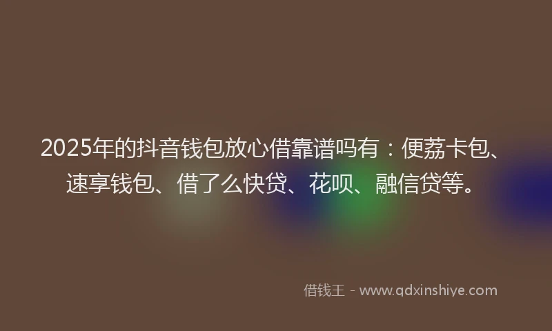 2025年的抖音钱包放心借靠谱吗有：便荔卡包、速享钱包、借了么快贷、花呗、融信贷等。