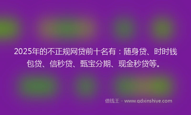 2025年的不正规网贷前十名有：随身贷、时时钱包贷、信秒贷、甄宝分期、现金秒贷等。