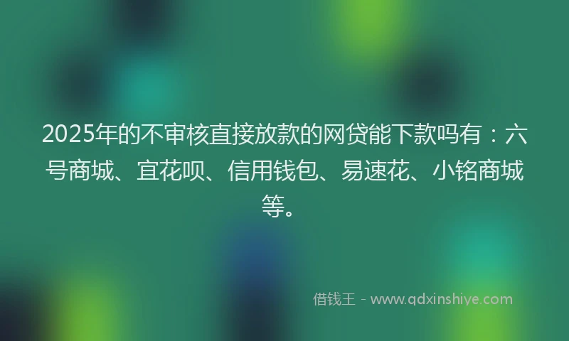 2025年的不审核直接放款的网贷能下款吗有：六号商城、宜花呗、信用钱包、易速花、小铭商城等。