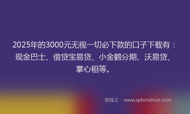 2025年的3000元无视一切必下款的口子下载有：现金巴士、借贷宝易贷、小金鹤分期、沃易贷、掌心租等。