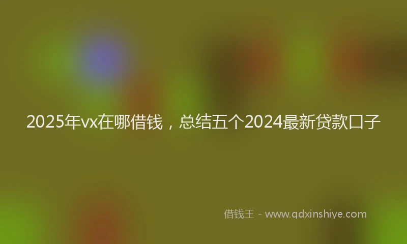 2025年vx在哪借钱，总结五个2024最新贷款口子