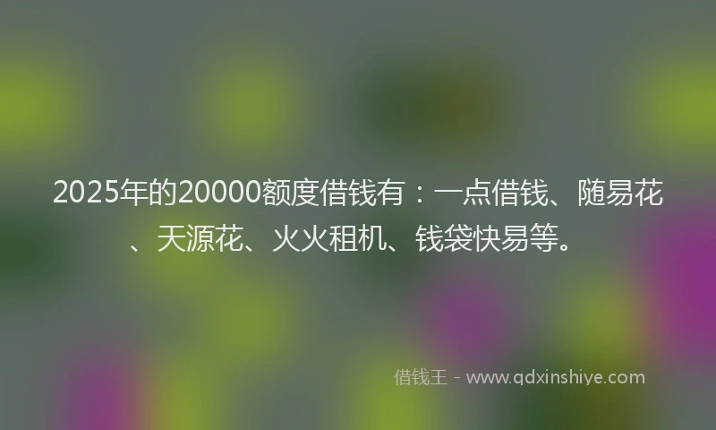 2025年的20000额度借钱有：一点借钱、随易花、天源花、火火租机、钱袋快易等。