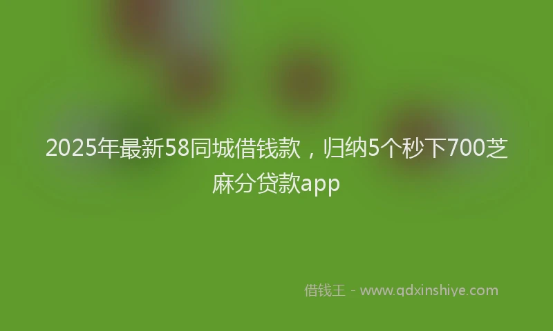 2025年最新58同城借钱款，归纳5个秒下700芝麻分贷款app
