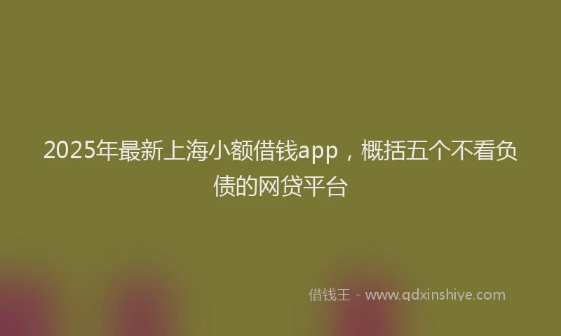 2025年最新上海小额借钱app，概括五个不看负债的网贷平台