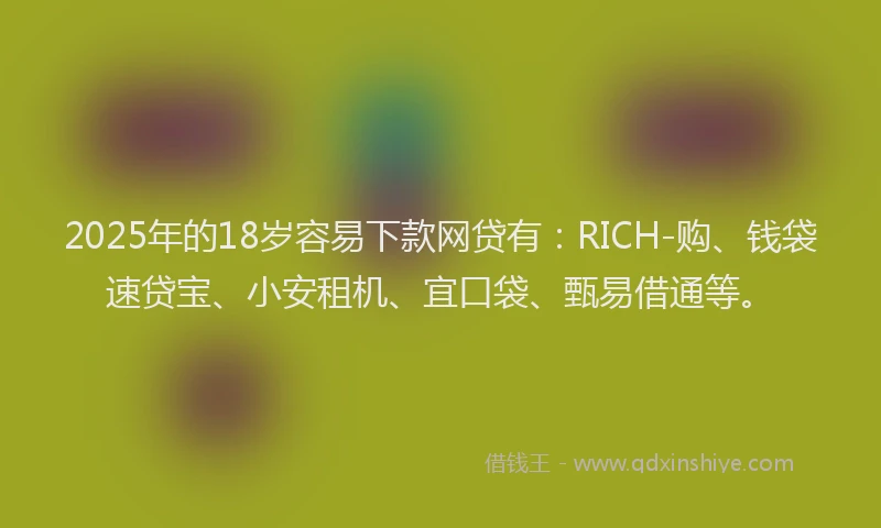 2025年的18岁容易下款网贷有：RICH-购、钱袋速贷宝、小安租机、宜口袋、甄易借通等。