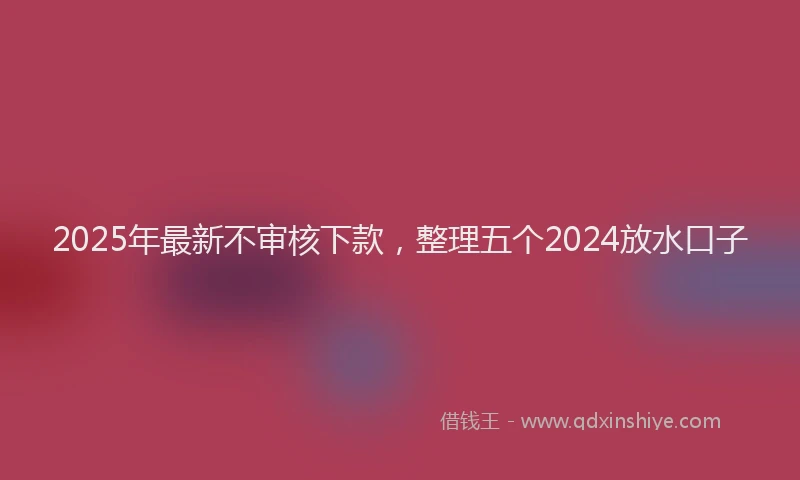 2025年最新不审核下款，整理五个2024放水口子