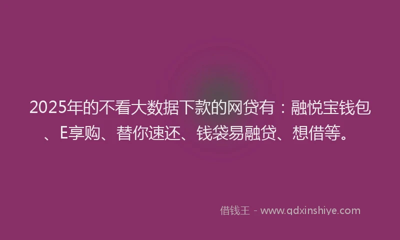 2025年的不看大数据下款的网贷有：融悦宝钱包、E享购、替你速还、钱袋易融贷、想借等。