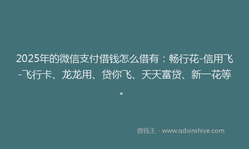 2025年的微信支付借钱怎么借有：畅行花-信用飞-飞行卡、龙龙用、贷你飞、天天富贷、新一花等。