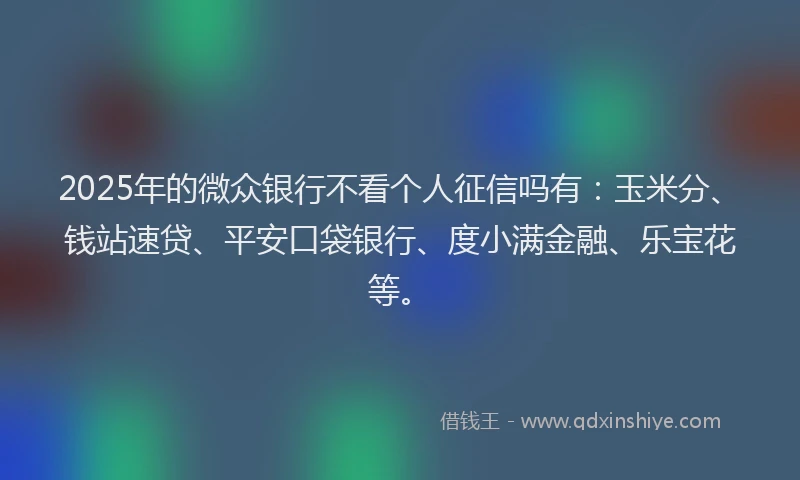 2025年的微众银行不看个人征信吗有：玉米分、钱站速贷、平安口袋银行、度小满金融、乐宝花等。