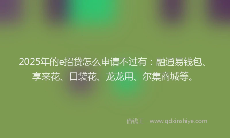 2025年的e招贷怎么申请不过有：融通易钱包、享来花、口袋花、龙龙用、尔集商城等。